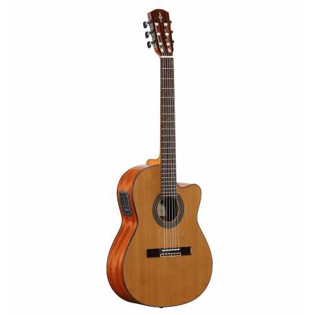 AC65HCE ARTIST