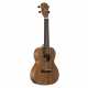 RU22C REGENT UKE