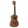 RU22C REGENT UKE