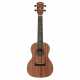 RU22C REGENT UKE