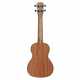 RU22C REGENT UKE