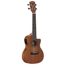 RU22CCE REGENT UKE