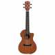 RU22CCE REGENT UKE