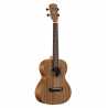 RU22T REGENT UKE