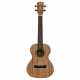 RU22T REGENT UKE