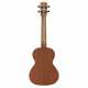 RU22T REGENT UKE