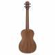 RU22B REGENT UKE