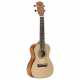 RU26C REGENT UKE