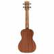 RU26C REGENT UKE