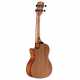 RU26CCE REGENT UKE