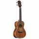 RU90CP REGENT UKE