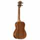 RU90CP REGENT UKE
