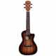 AU66CCESHB ART. UKE