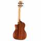 AU66CCESHB ART. UKE