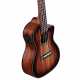 AU66CCESHB ART. UKE