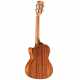 AU66TCESHB ART. UKE