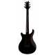 S2 Standard 22 Scarlet Sunburst