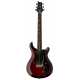 S2 Standard 22 Scarlet Sunburst