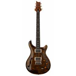 DGT Semi-Hollow Tiger Eye Birds