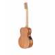 RM-6 Mini Maton