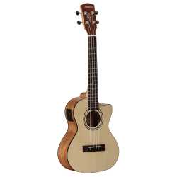 RU26TCE REGENT UKE