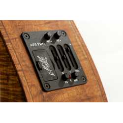 AP5 PRO PREAMP