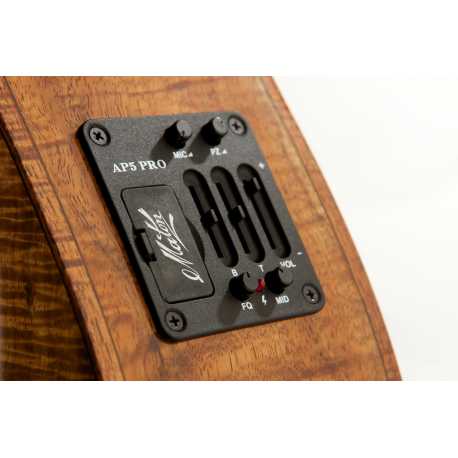AP5 PRO PREAMP