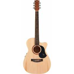 The Performer w/Case